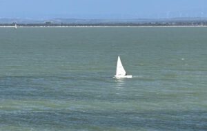 27ª Liga de Patín a Vela – Jornada 5